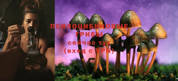 а пвп мука Баксан