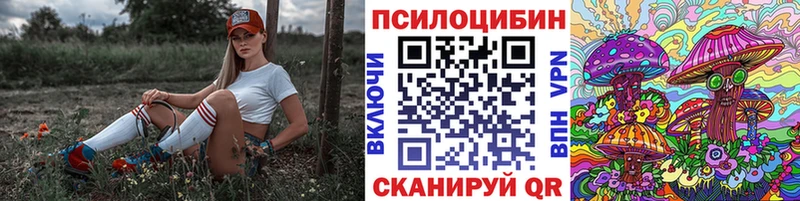 Псилоцибиновые грибы GOLDEN TEACHER  дарнет шоп  omg   Козельск 